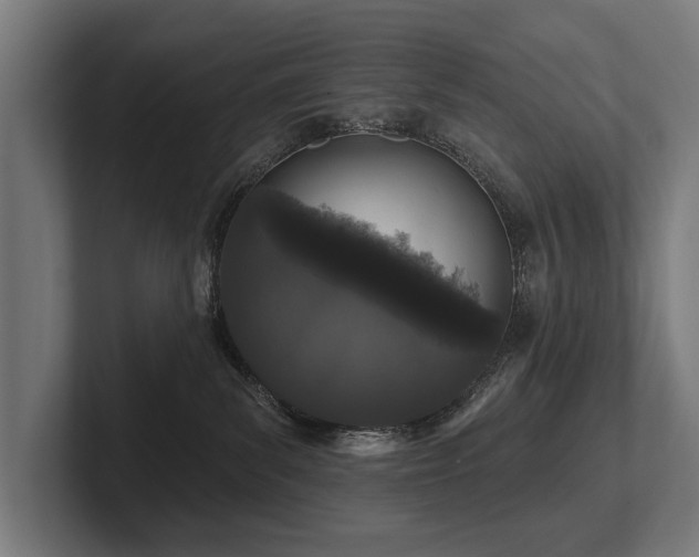 X0000102400139200808011554