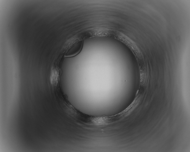 X0000102400142200808011554