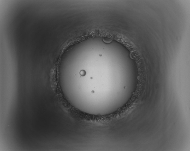 X0000102400144200808011554