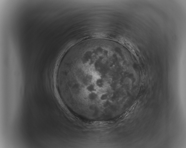 X0000102400145200808011553