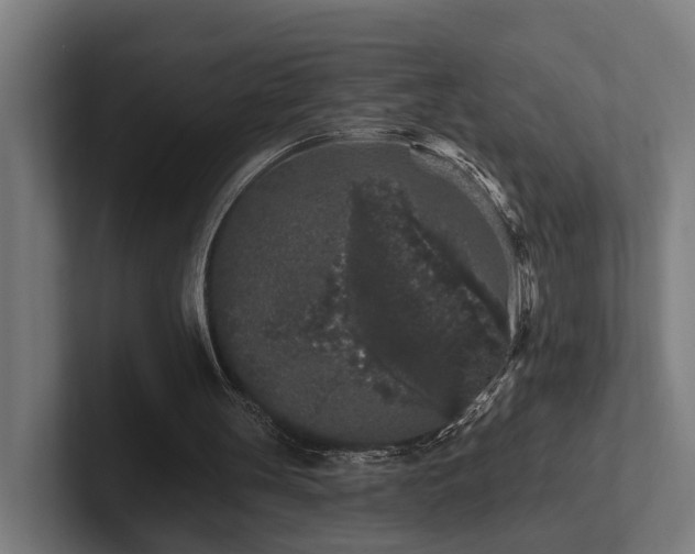 X0000102400147200808011553