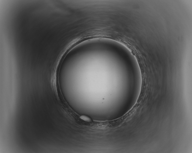 X0000102400148200808011553