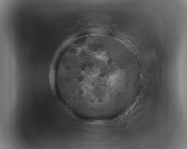 X0000102400149200808011553