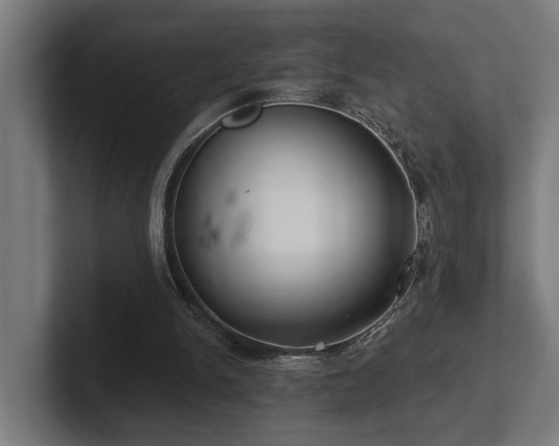 X0000102400150200808011553