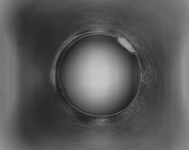 X0000102400152200808011553