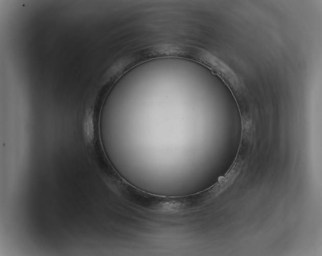 X0000102400158200808011553