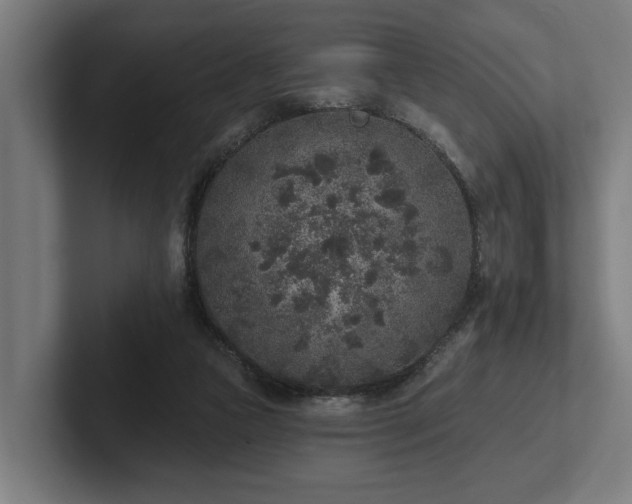 X0000102400161200808011553