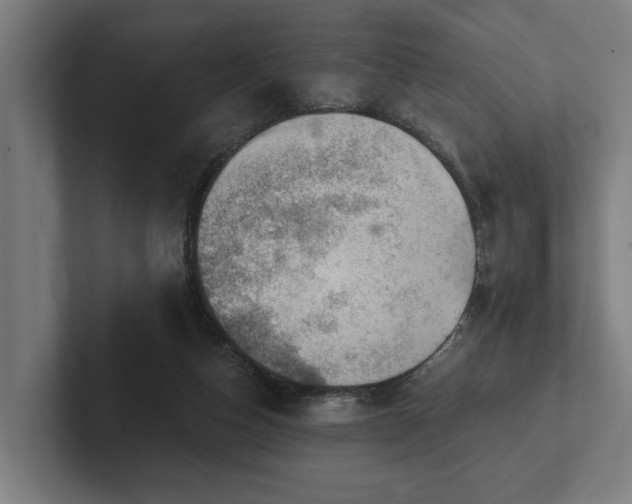 X0000102400162200808011553