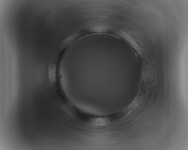 X0000102400163200808011553