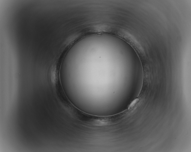 X0000102400164200808011554