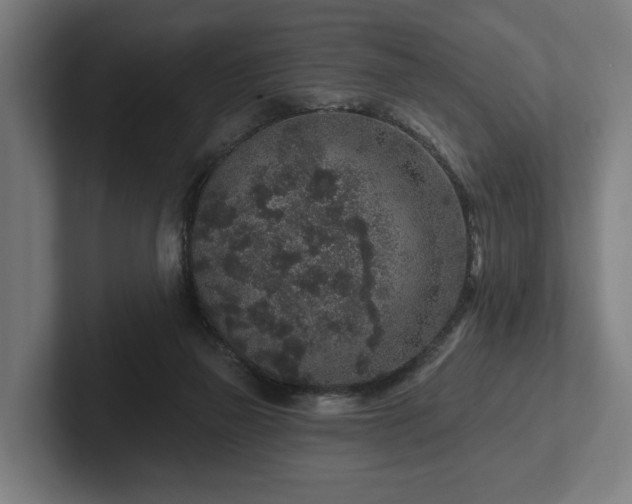 X0000102400165200808011554