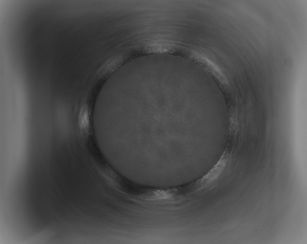 X0000102400166200808011554