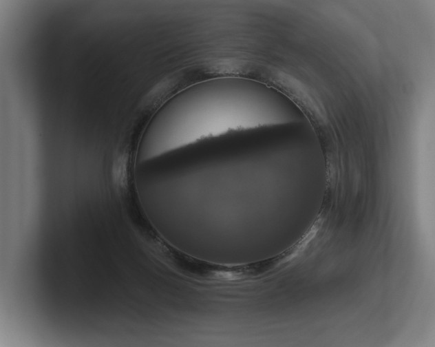 X0000102400167200808011554