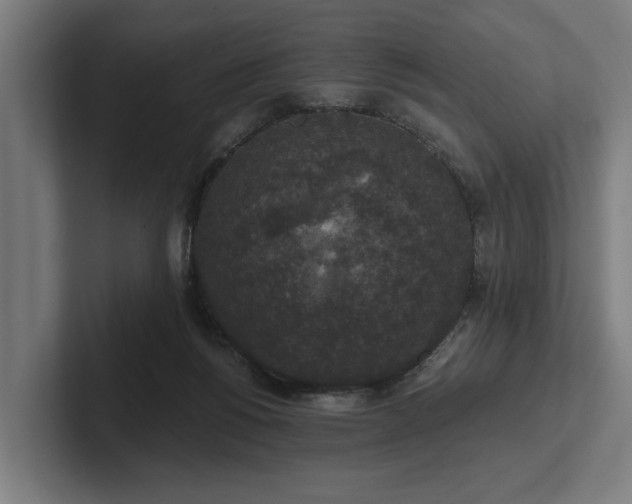 X0000102400168200808011554