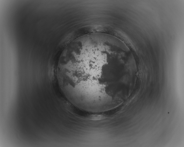 X0000102400169200808011554