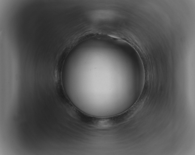 X0000102400173200808011554