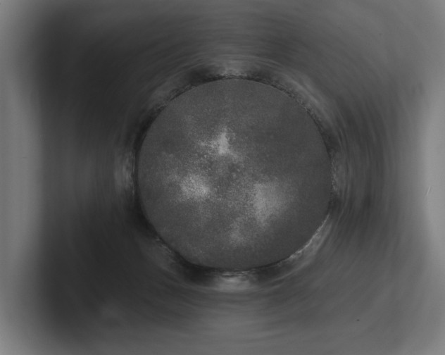 X0000102400175200808011554