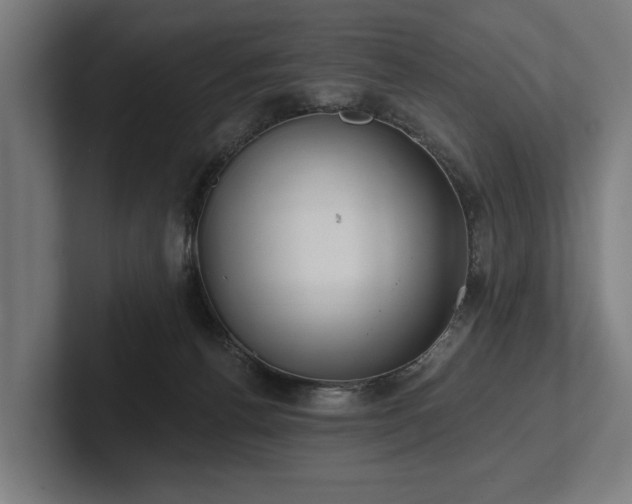 X0000102400176200808011554