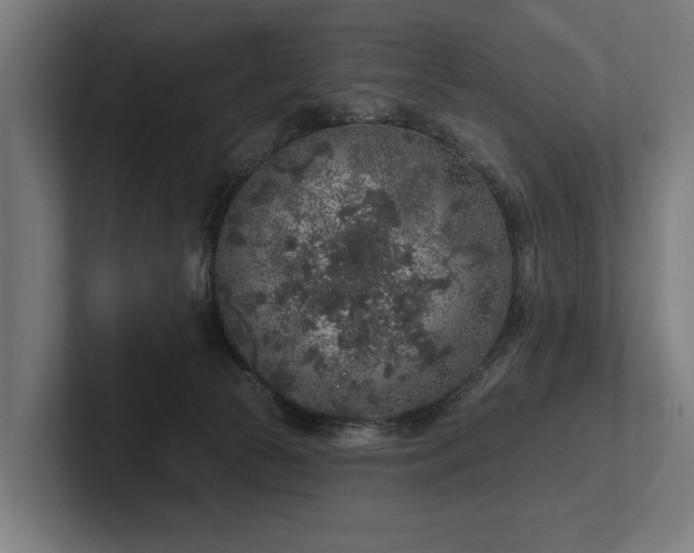 X0000102400177200808011554