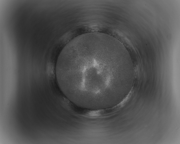 X0000102400178200808011554