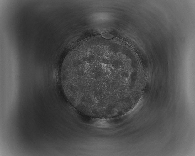 X0000102400182200808011554