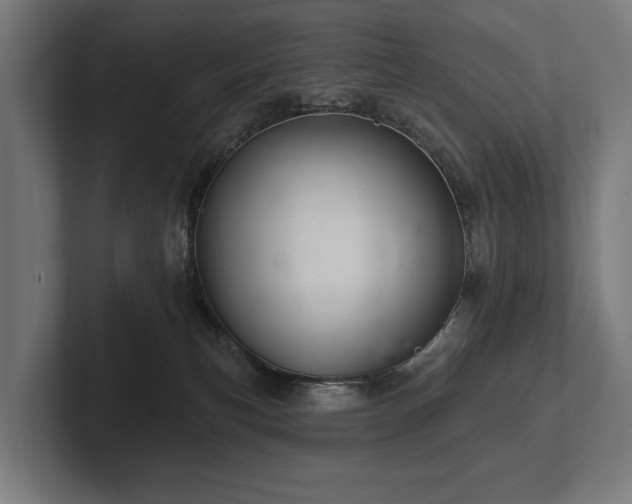 X0000102400183200808011554