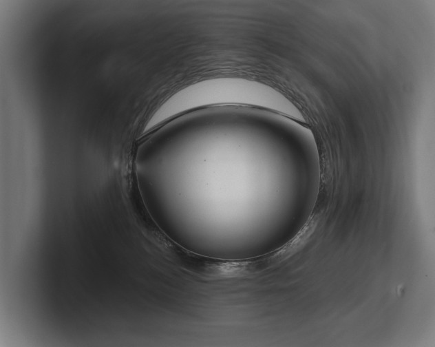 X0000102400184200808011554