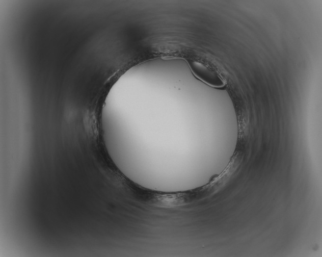 X0000102400187200808011554