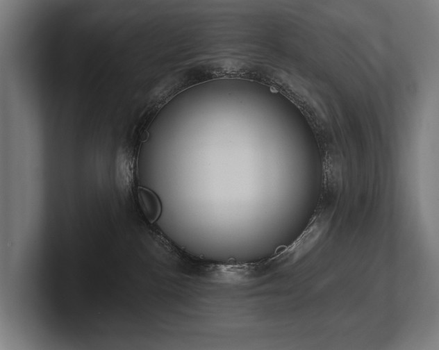 X0000102400188200808011554