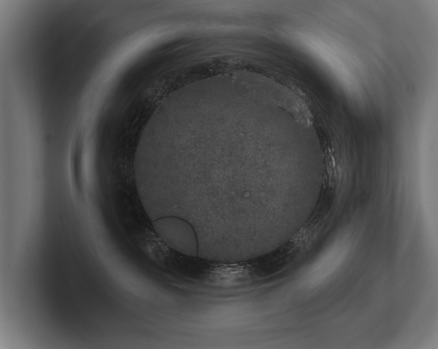 X0000102400189200808011554