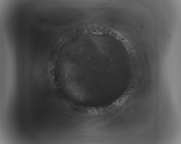 X0000102400192200808011554