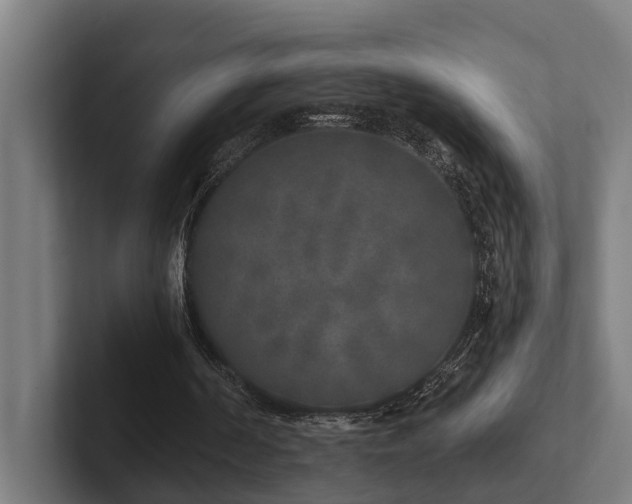 X0000102400194200808011553