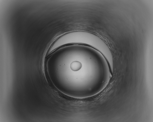 X0000102400195200808011553