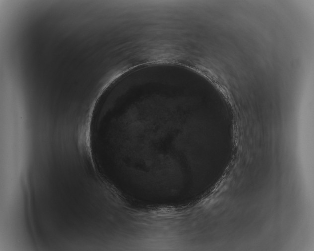 X0000102400196200808011553