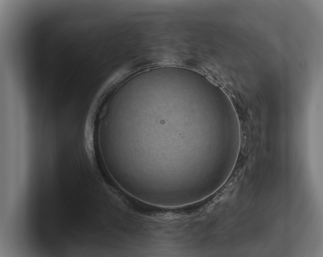 X0000102400197200808011553