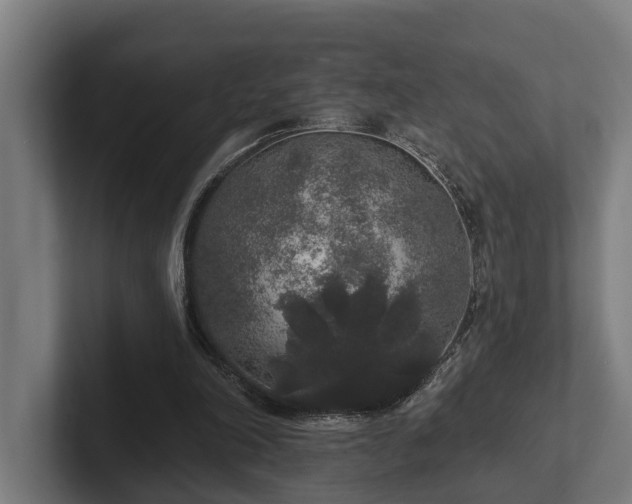 X0000102400198200808011553