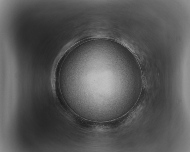 X0000102400199200808011553