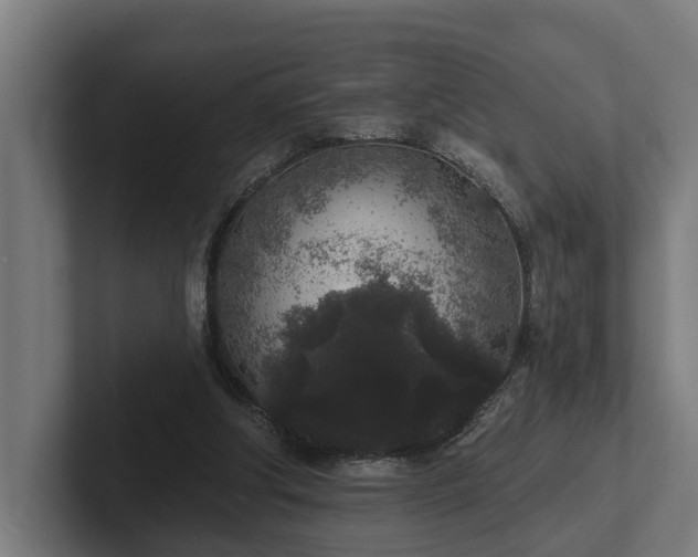 X0000102400202200808011553