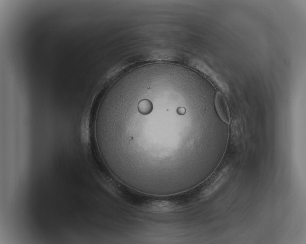 X0000102400203200808011553