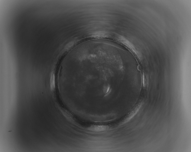 X0000102400205200808011553