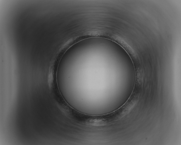 X0000102400208200808011553