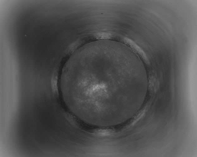 X0000102400209200808011553