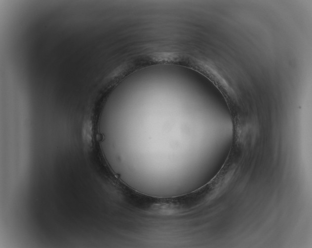 X0000102400211200808011553