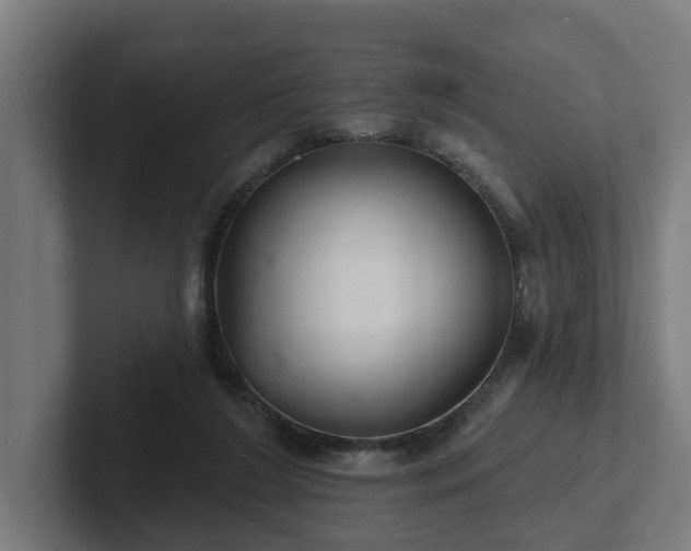 X0000102400212200808011553