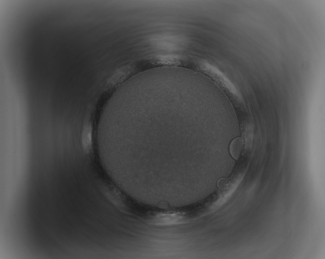 X0000102400213200808011553