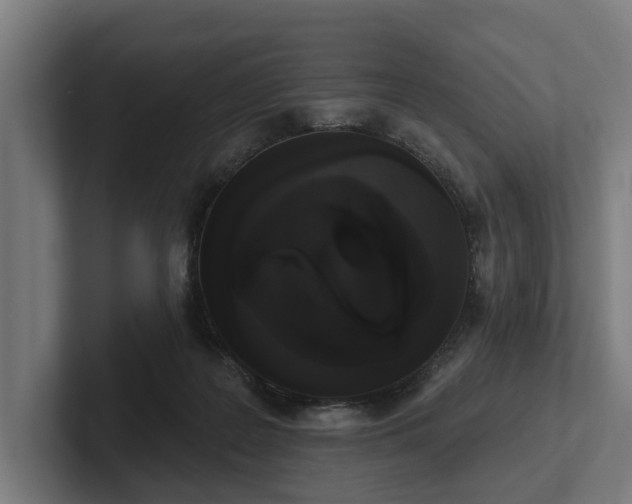 X0000102400219200808011553