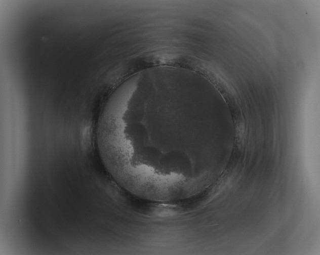 X0000102400222200808011553