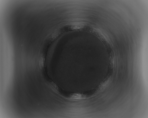 X0000102400227200808011553