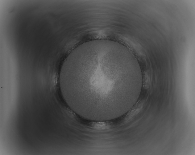 X0000102400230200808011553