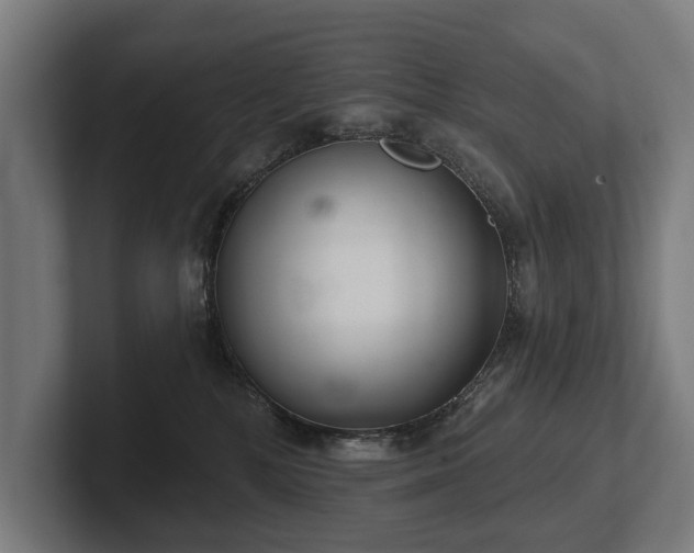 X0000102400232200808011553